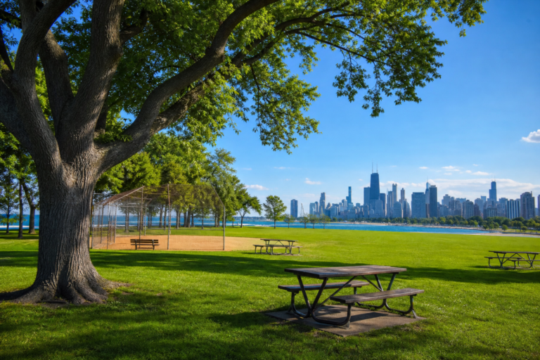 A Chicago lakefront park lawn with picnic tables on a summer morning